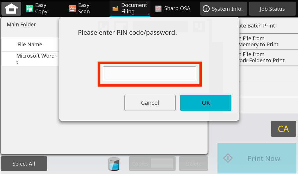 Enter Pin