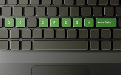 Save Money & the Earth Through a Green Business