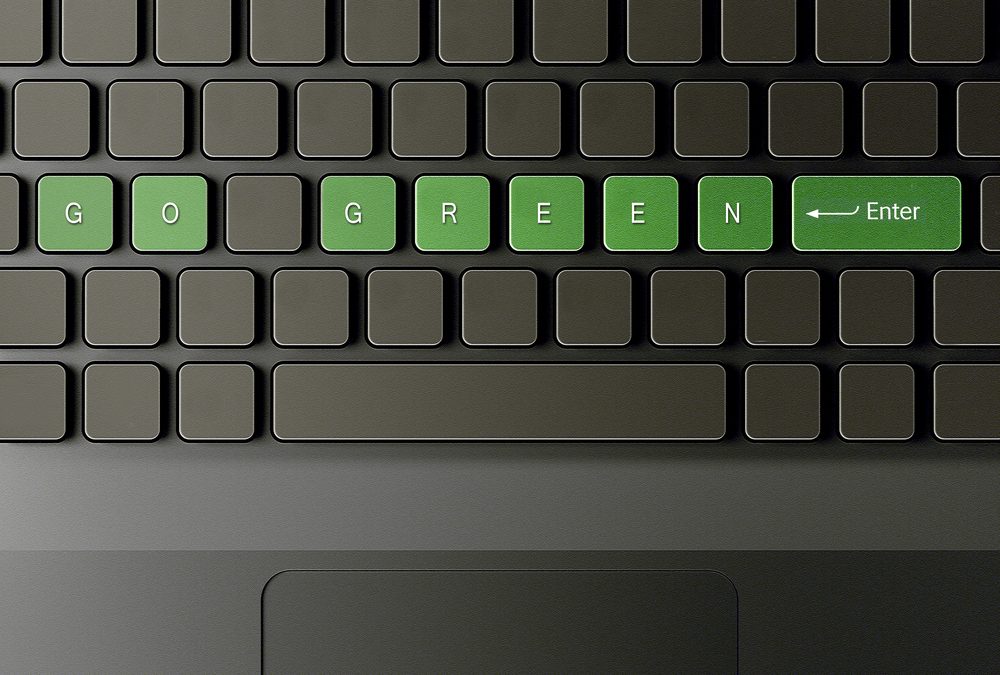 Save Money & the Earth Through a Green Business